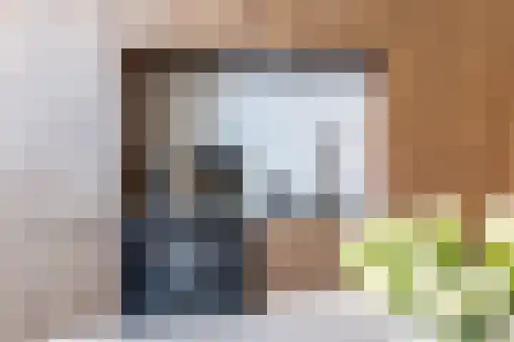 Renoirhof 12 Utrecht thumbnail 17