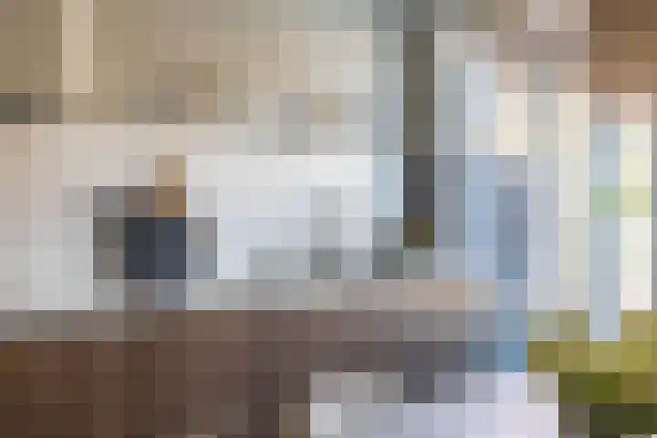 Renoirhof 12 Utrecht thumbnail 18