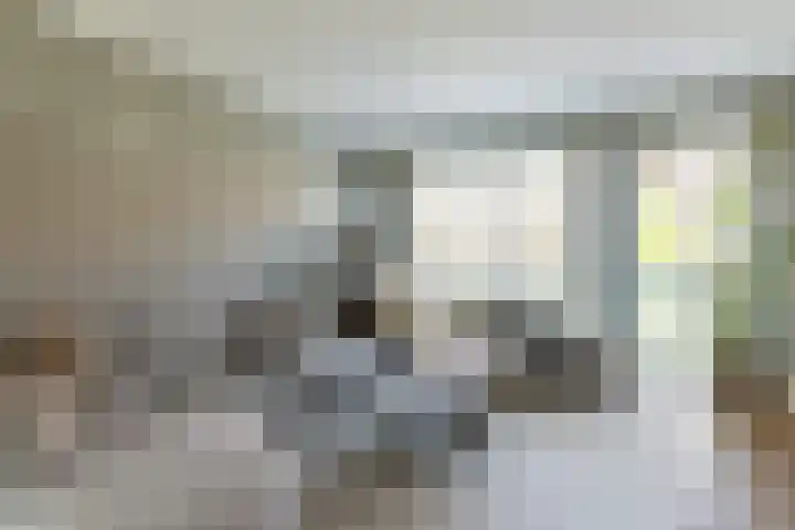 Renoirhof 12 Utrecht thumbnail 19