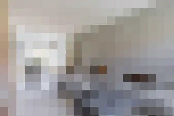 Renoirhof 12 Utrecht thumbnail 20