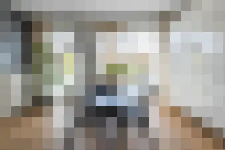 Renoirhof 12 Utrecht thumbnail 25