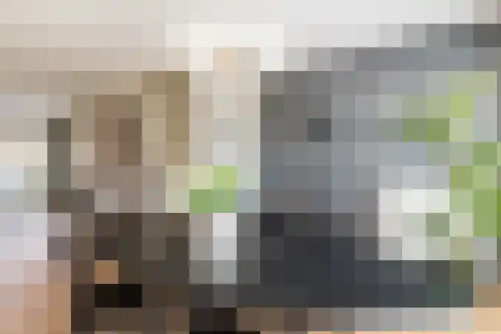 Renoirhof 12 Utrecht thumbnail 26