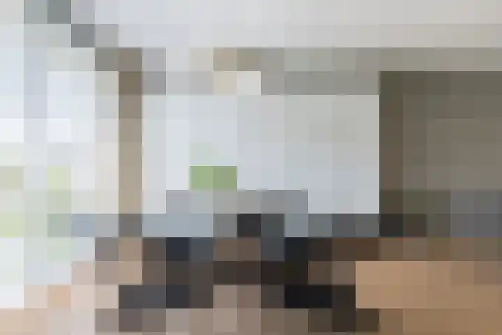 Renoirhof 12 Utrecht thumbnail 27