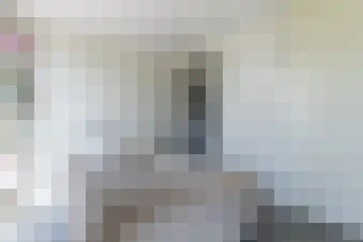 Renoirhof 12 Utrecht thumbnail 30
