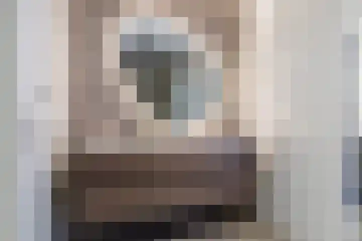 Renoirhof 12 Utrecht thumbnail 32