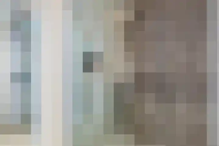 Renoirhof 12 Utrecht thumbnail 34