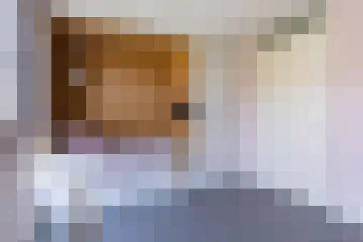 Renoirhof 12 Utrecht thumbnail 36