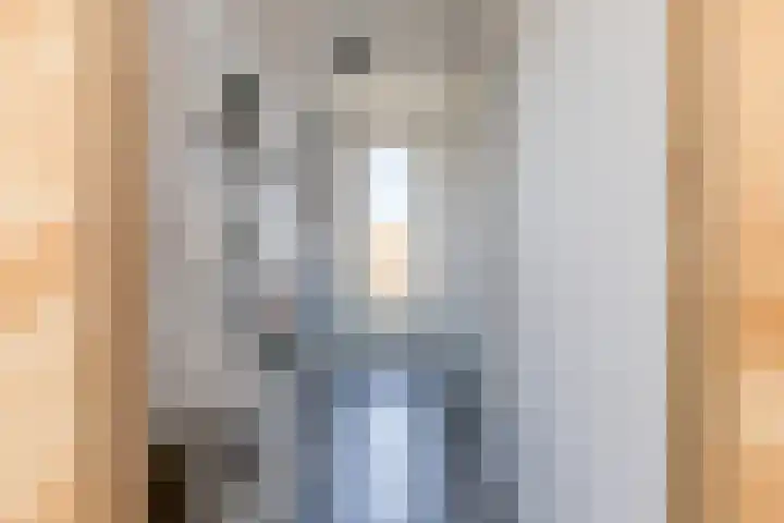 Renoirhof 12 Utrecht thumbnail 38