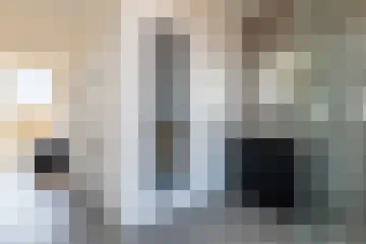 Renoirhof 12 Utrecht thumbnail 39