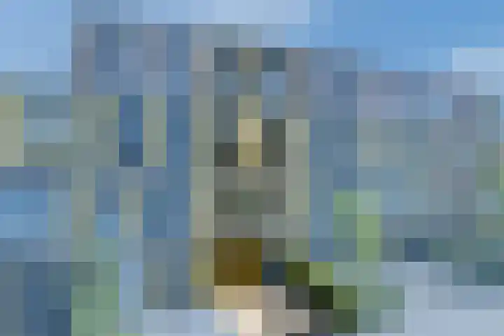 Renoirhof 12 Utrecht thumbnail 4
