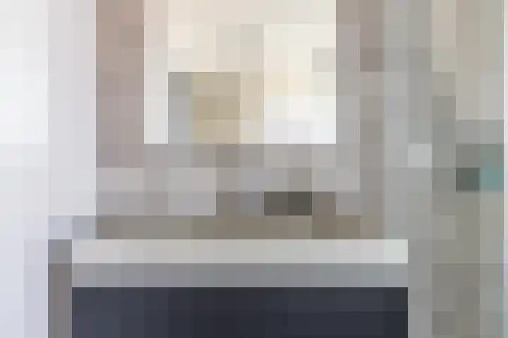 Renoirhof 12 Utrecht thumbnail 40