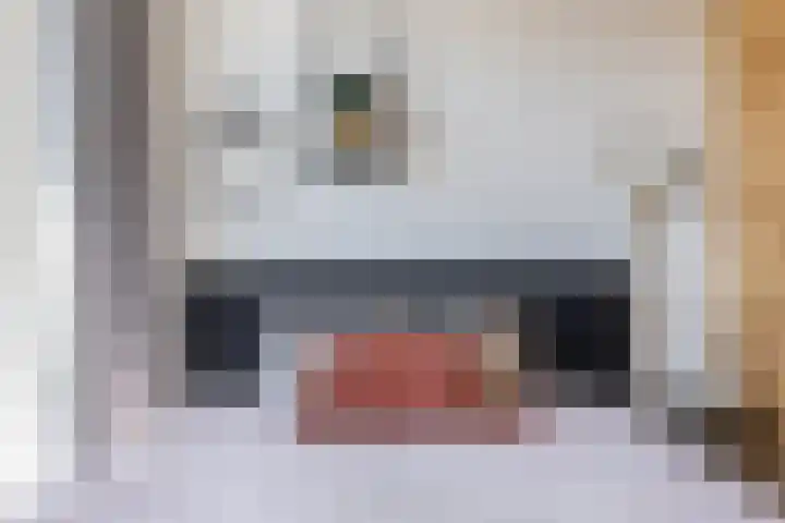Renoirhof 12 Utrecht thumbnail 44