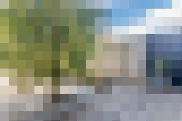 Renoirhof 12 Utrecht thumbnail 46