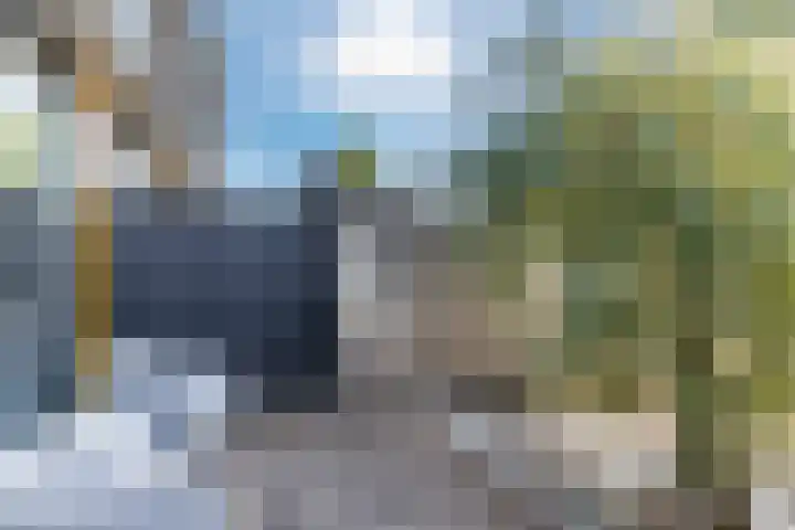 Renoirhof 12 Utrecht thumbnail 47