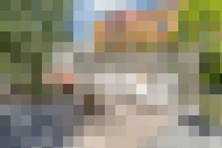Renoirhof 12 Utrecht thumbnail 48