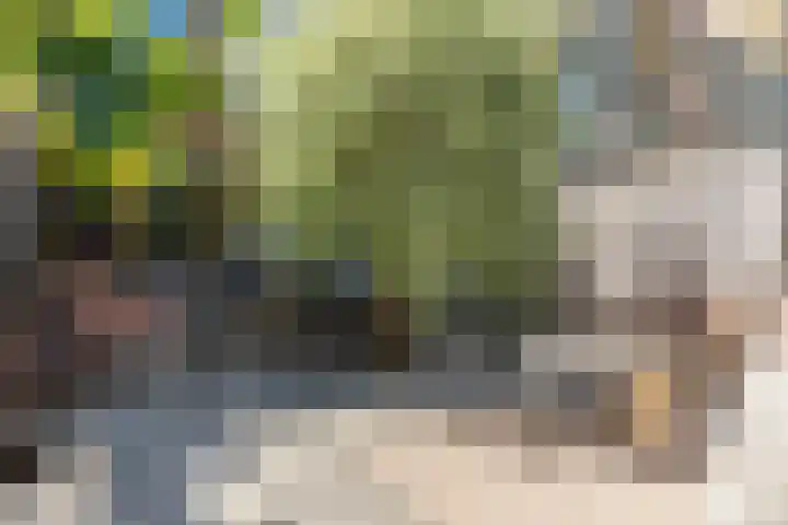 Renoirhof 12 Utrecht thumbnail 49
