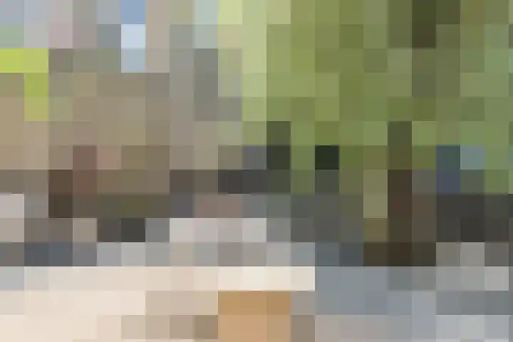 Renoirhof 12 Utrecht thumbnail 50