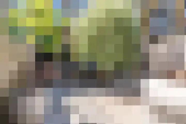 Renoirhof 12 Utrecht thumbnail 51