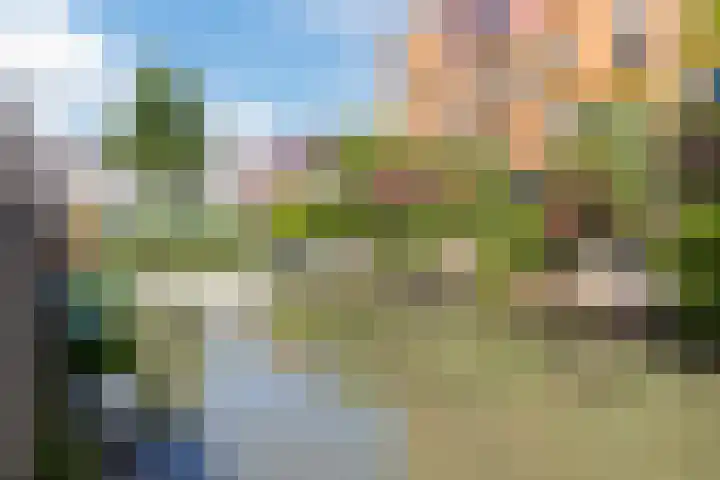 Renoirhof 12 Utrecht thumbnail 52