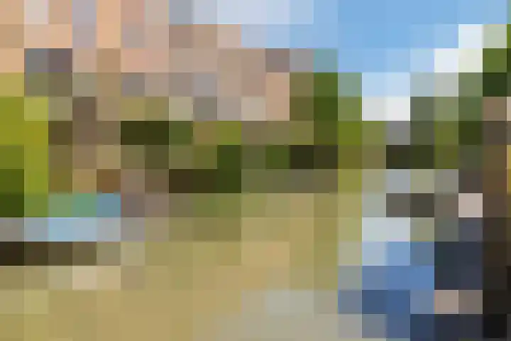 Renoirhof 12 Utrecht thumbnail 53