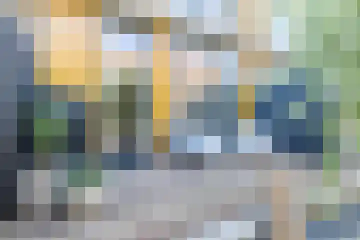 Renoirhof 12 Utrecht thumbnail 55