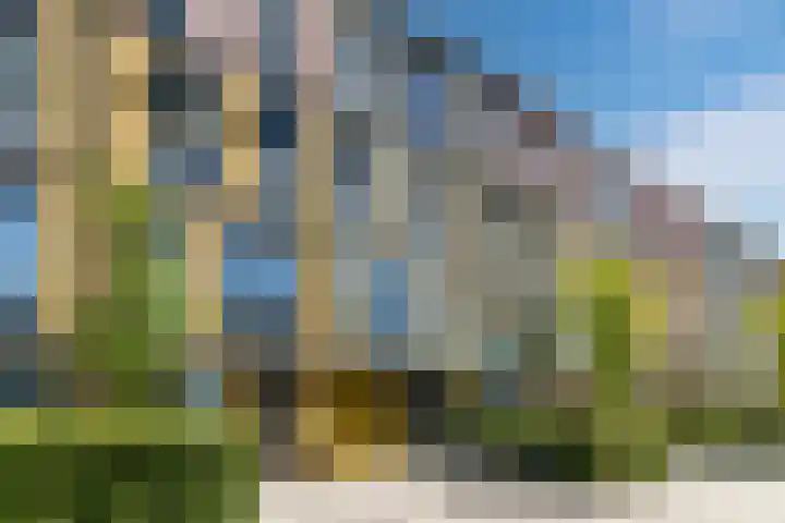 Renoirhof 12 Utrecht thumbnail 57
