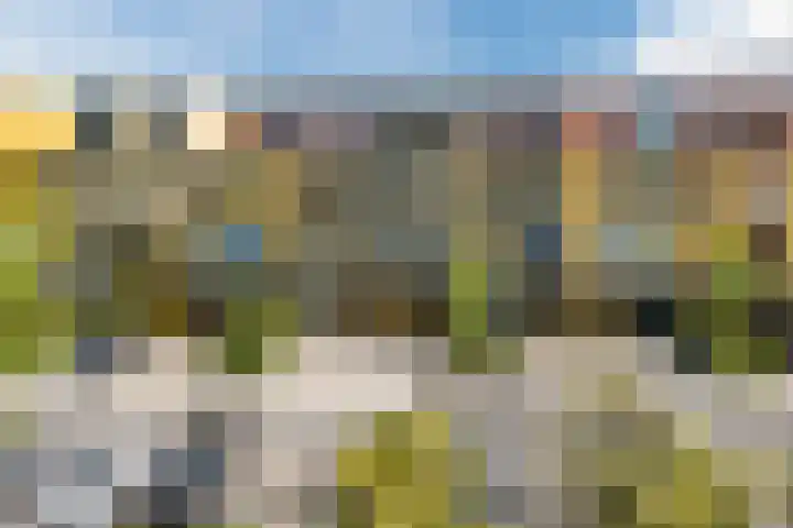 Renoirhof 12 Utrecht thumbnail 58