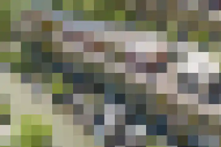 Renoirhof 12 Utrecht thumbnail 59
