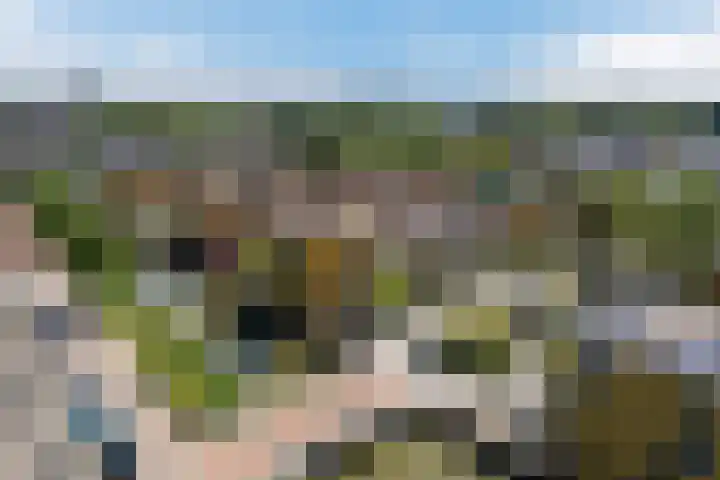 Renoirhof 12 Utrecht thumbnail 60