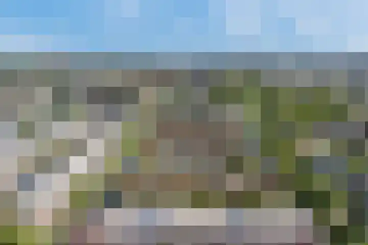 Renoirhof 12 Utrecht thumbnail 61