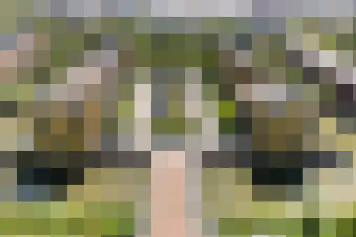Renoirhof 12 Utrecht thumbnail 62
