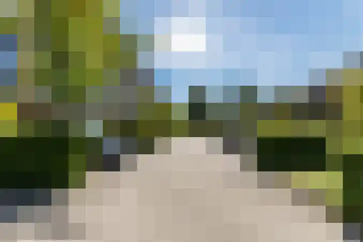 Renoirhof 12 Utrecht thumbnail 63