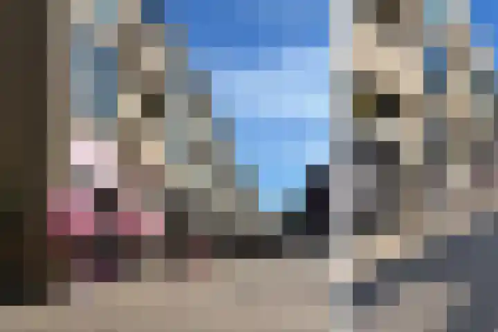 Renoirhof 12 Utrecht thumbnail 65