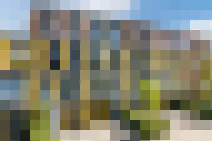 Renoirhof 12 Utrecht thumbnail 75