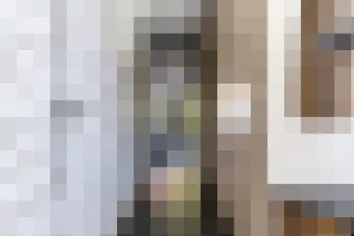 Renoirhof 12 Utrecht thumbnail 8