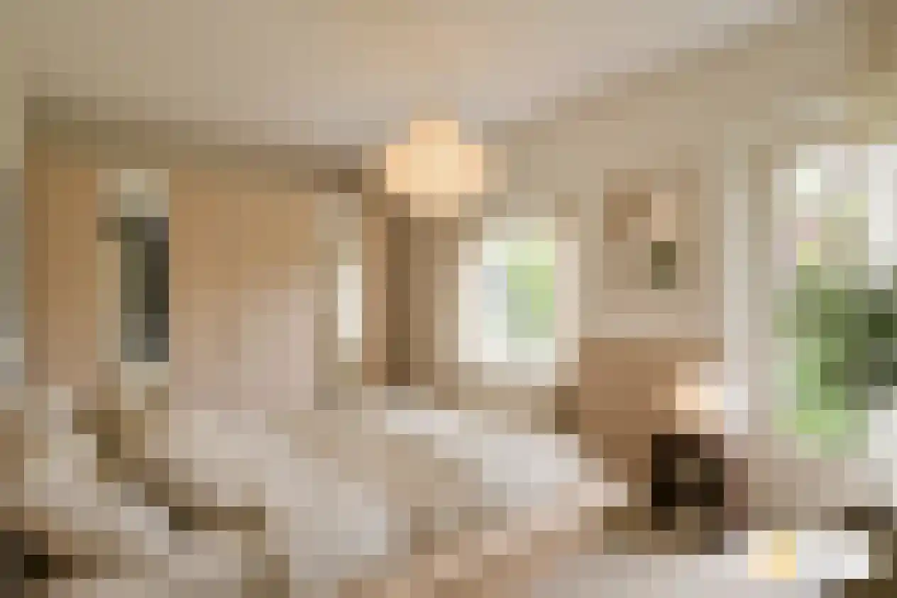 Renoirhof 149 Hoorn thumbnail 18