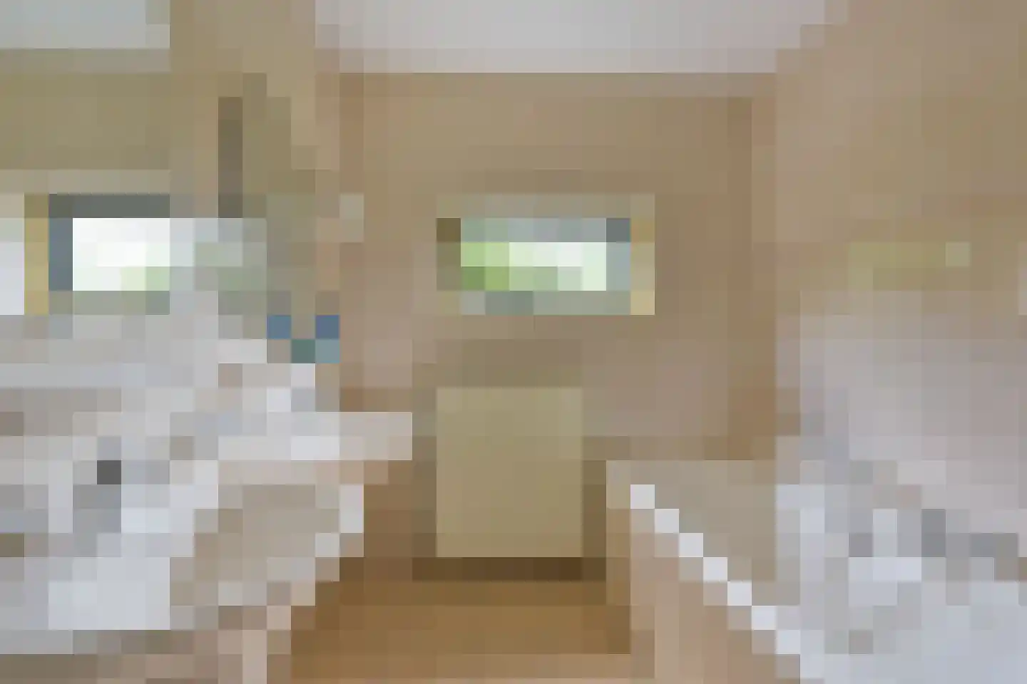Renoirhof 149 Hoorn thumbnail 19