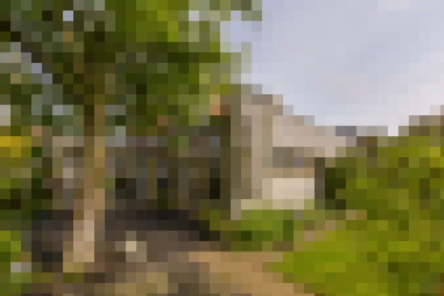 Renoirhof 149 Hoorn thumbnail 33