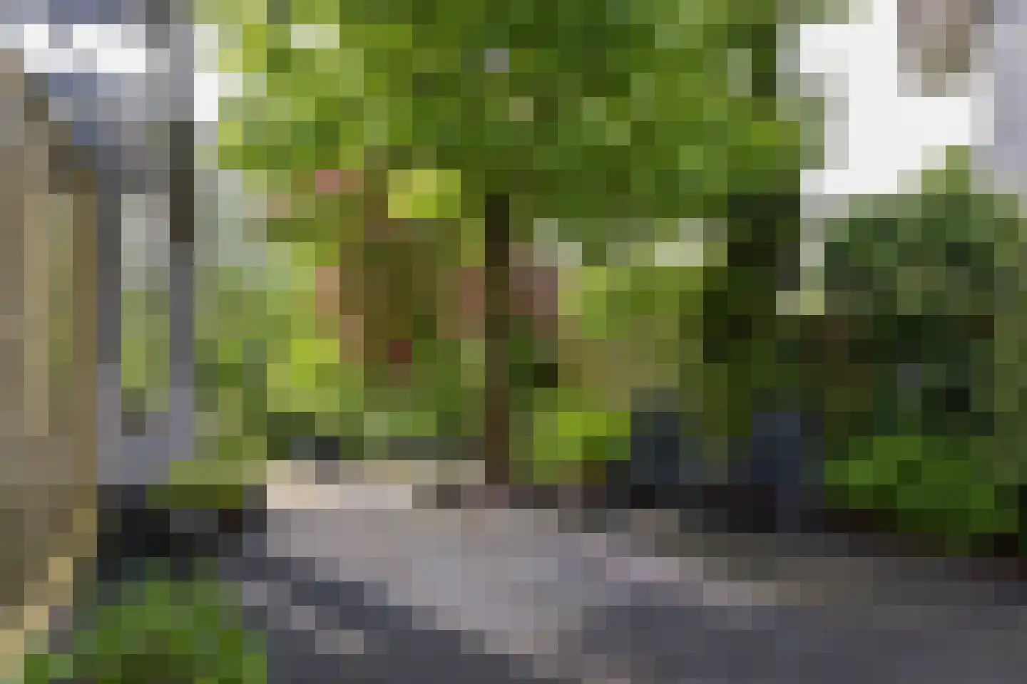 Renoirhof 149 Hoorn thumbnail 37