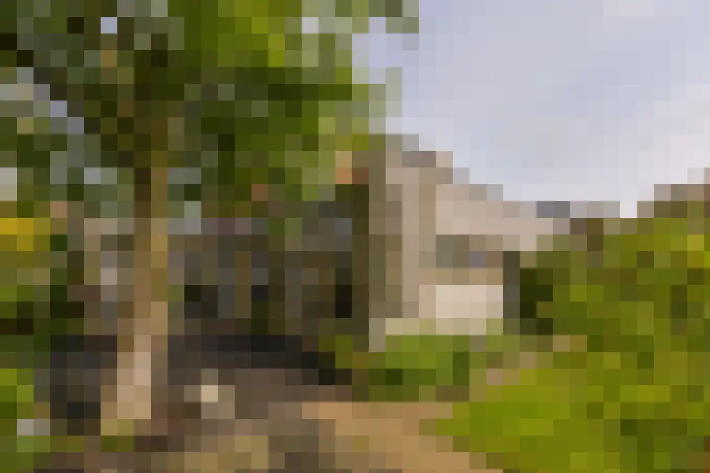 Renoirhof 149 Hoorn thumbnail 41