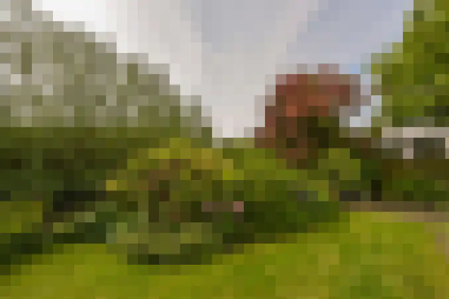 Renoirhof 149 Hoorn thumbnail 42