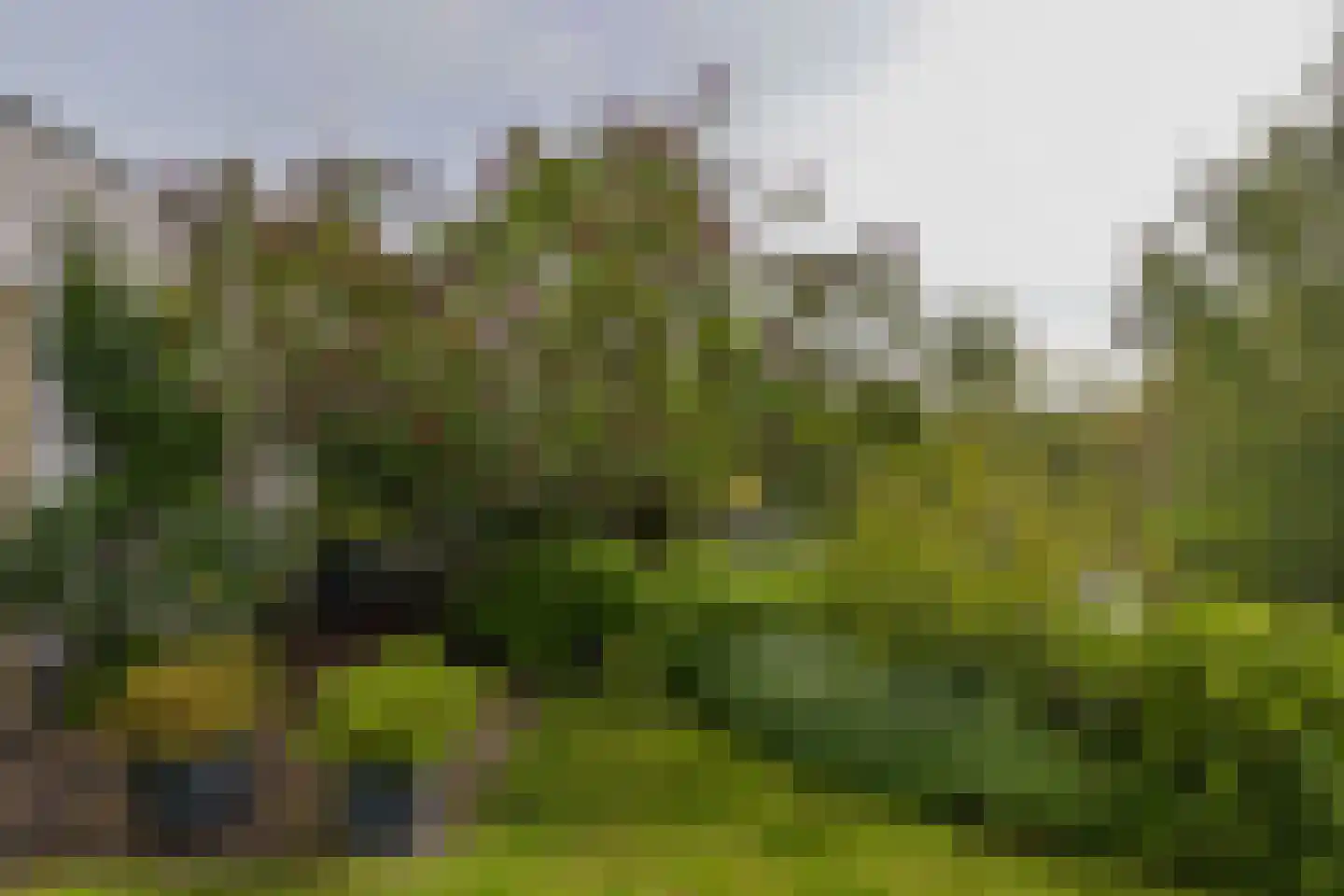 Renoirhof 149 Hoorn thumbnail 43