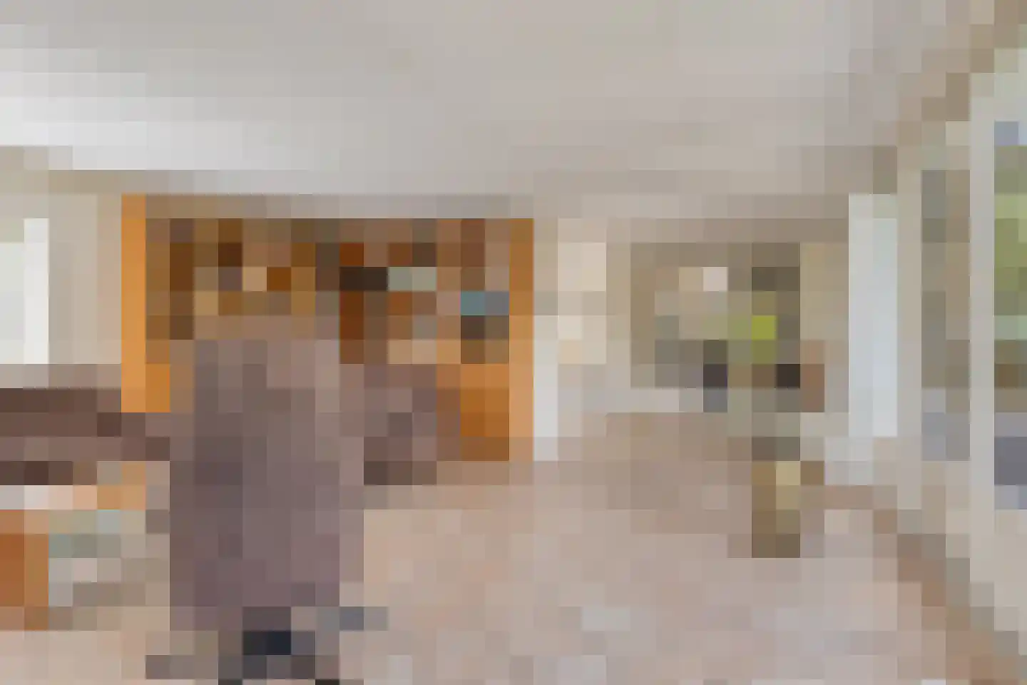 Renoirhof 152 Hoorn thumbnail 11