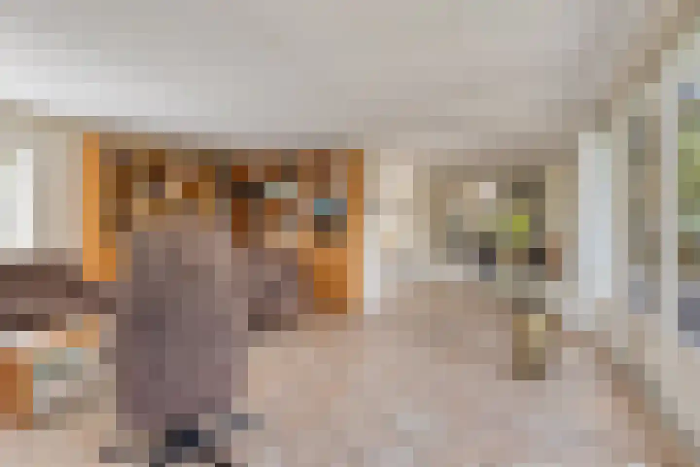 Renoirhof 152 Hoorn thumbnail 11