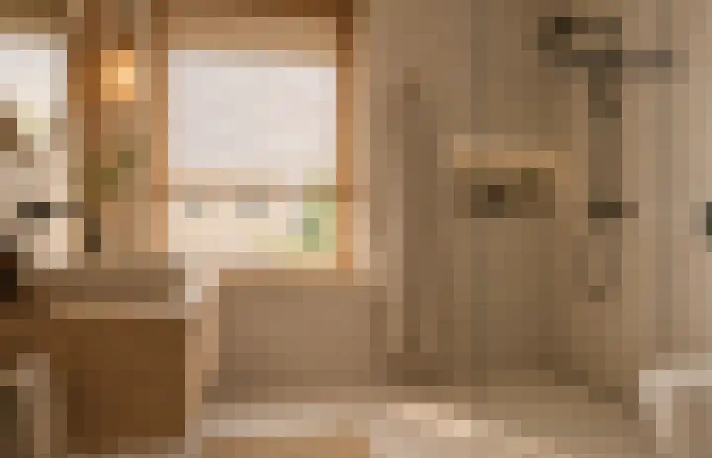 Renoirhof 152 Hoorn thumbnail 13