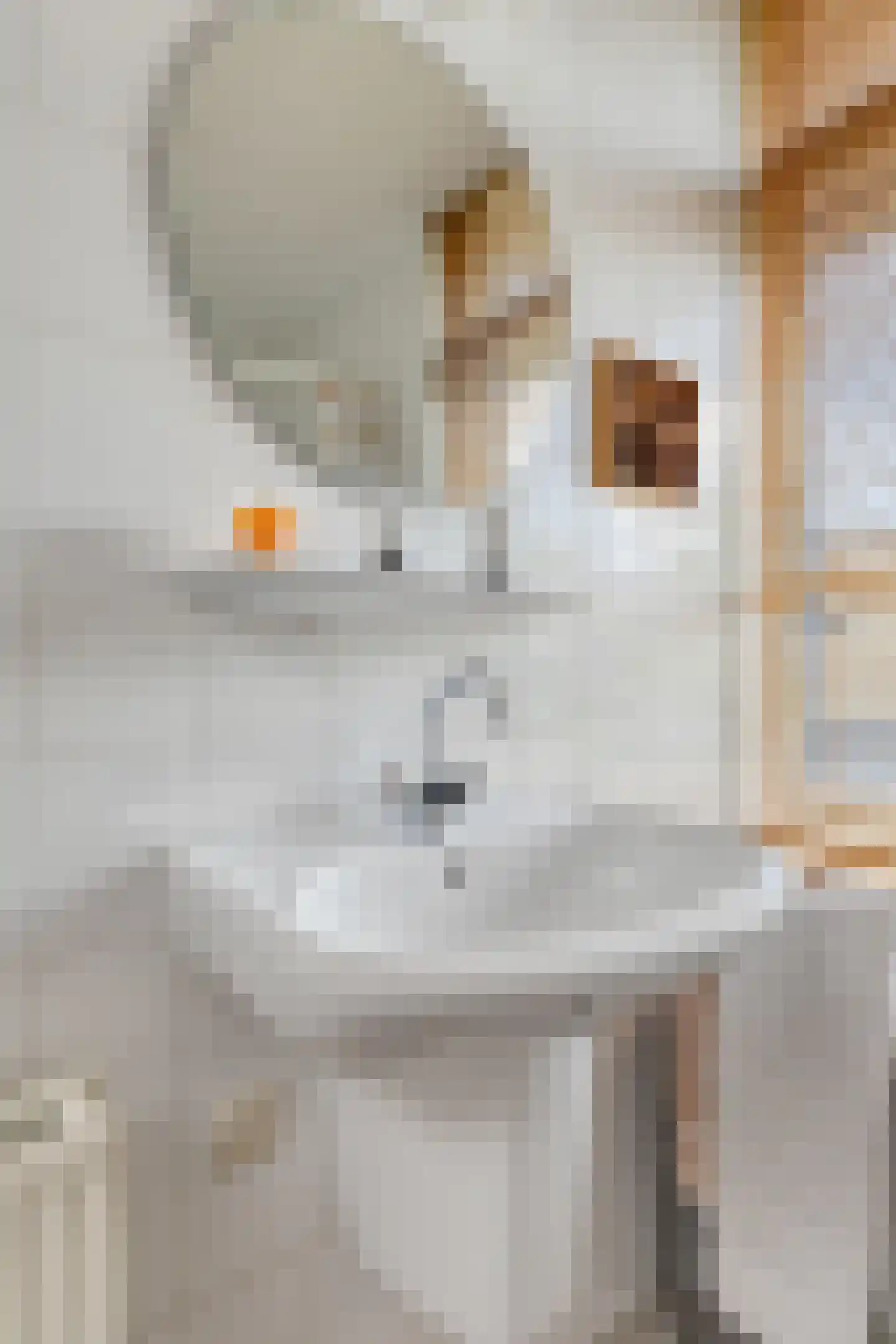 Renoirhof 152 Hoorn thumbnail 25