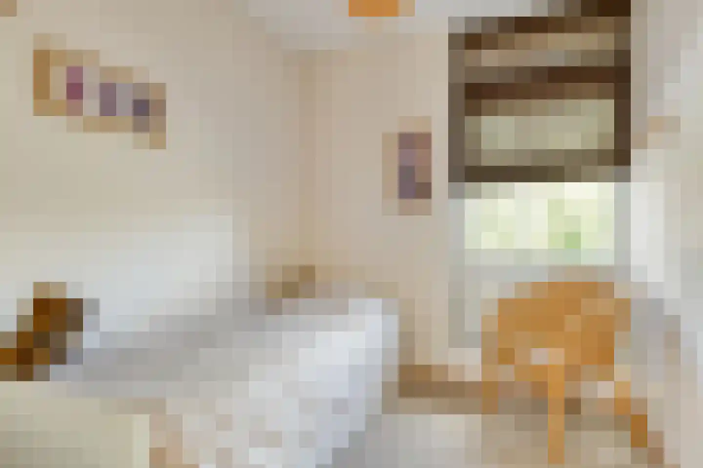 Renoirhof 152 Hoorn thumbnail 28