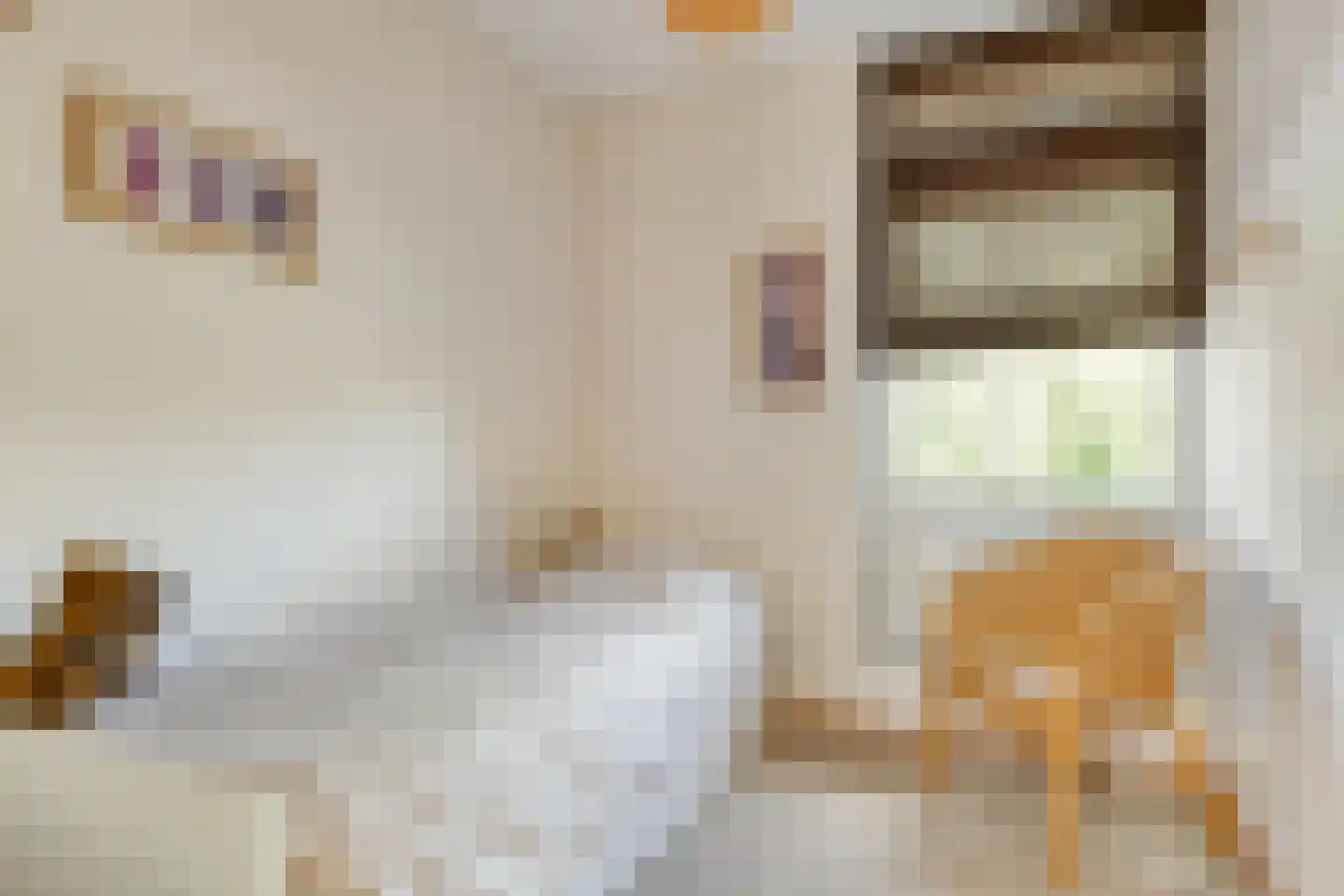 Renoirhof 152 Hoorn thumbnail 28