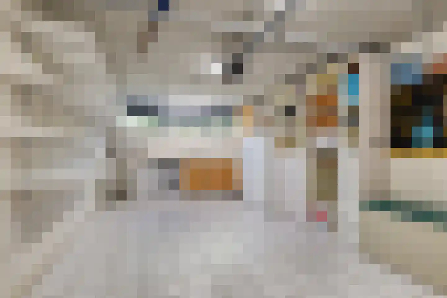 Renoirhof 152 Hoorn thumbnail 29
