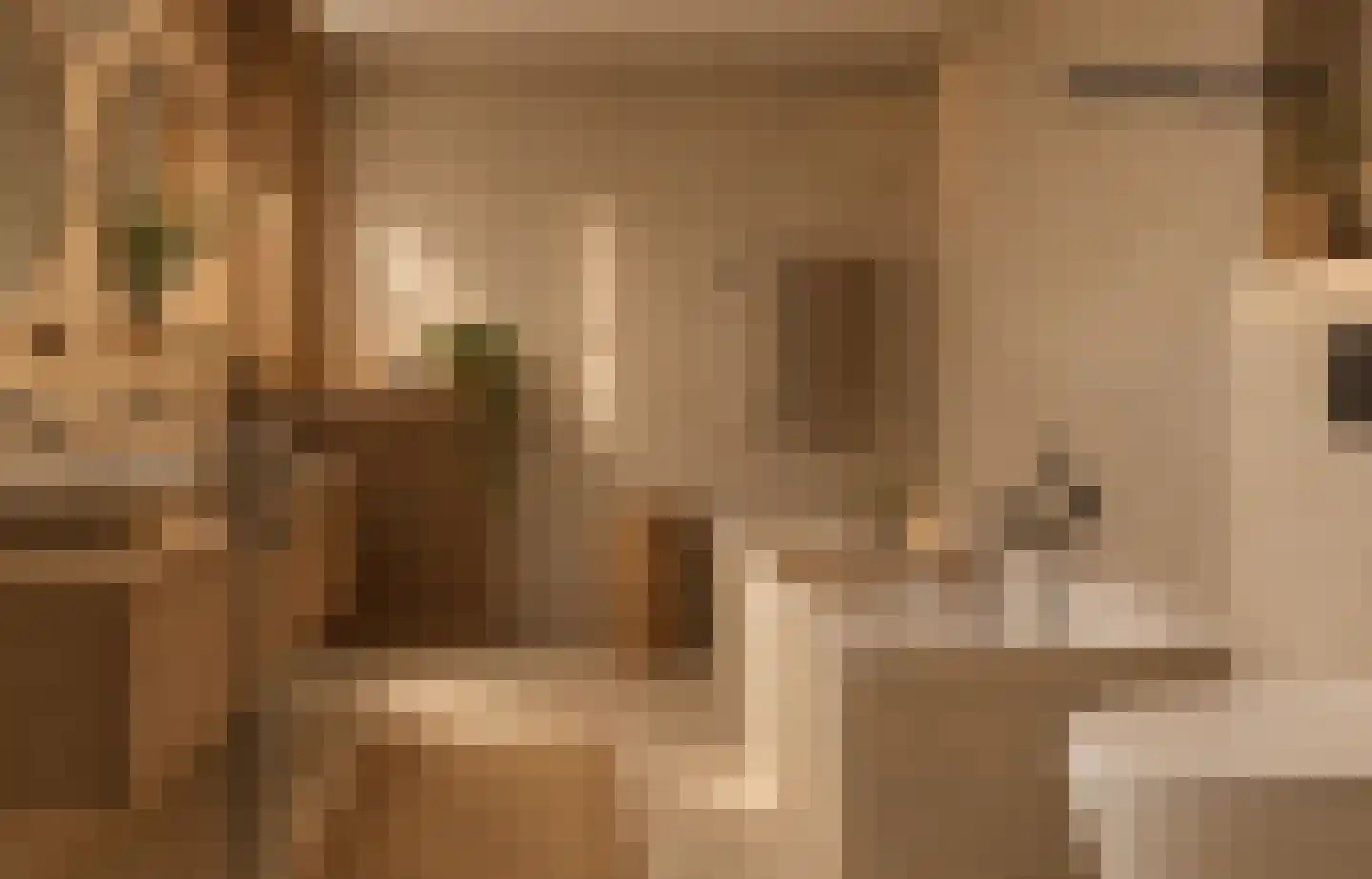 Renoirhof 152 Hoorn thumbnail 7